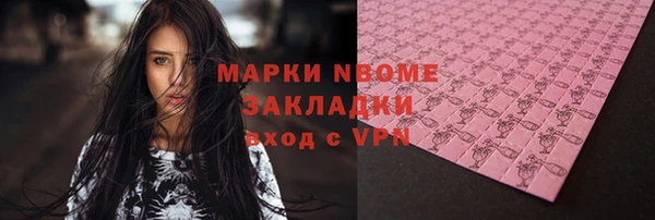 2c-b Новозыбков