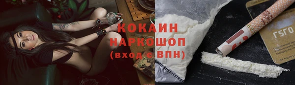 2c-b Новозыбков