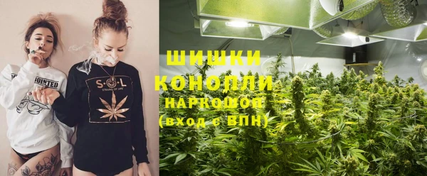 2c-b Новозыбков