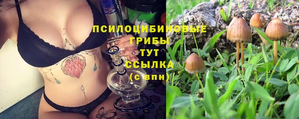 2c-b Новозыбков
