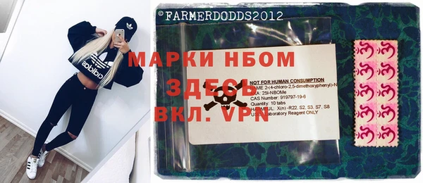2c-b Новозыбков