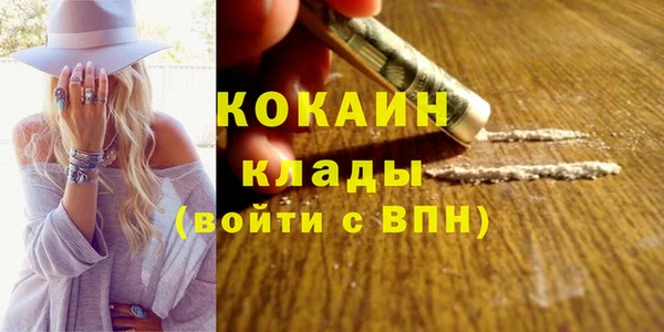 2c-b Новозыбков