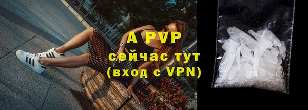 2c-b Новозыбков